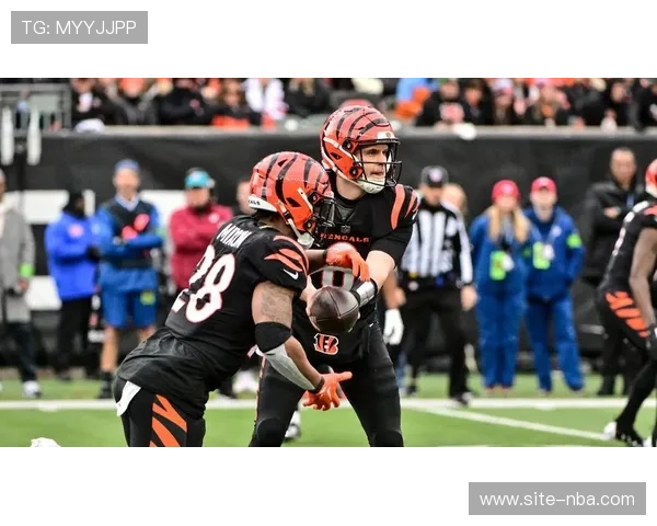 包装工34-27客胜雄狮,乐福四传球达阵锁定季后赛希望 包装工34-27客胜雄狮,乐福四传球达阵锁定季后赛希望