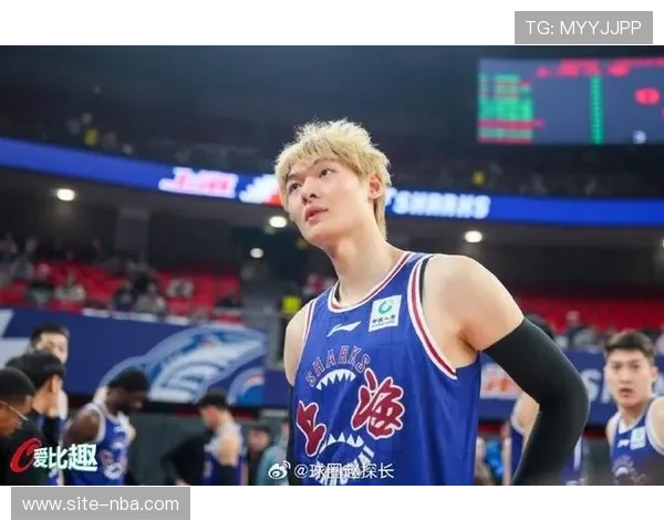 王哲林带伤作战谈领袖责任：篮板与防守优先
